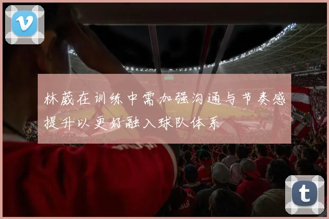 林葳在训练中需加强沟通与节奏感提升以更好融入球队体系