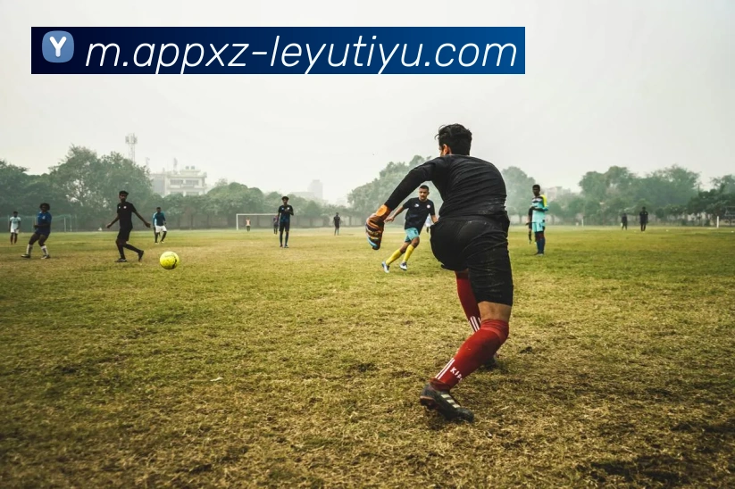 乐鱼体育平台生态图